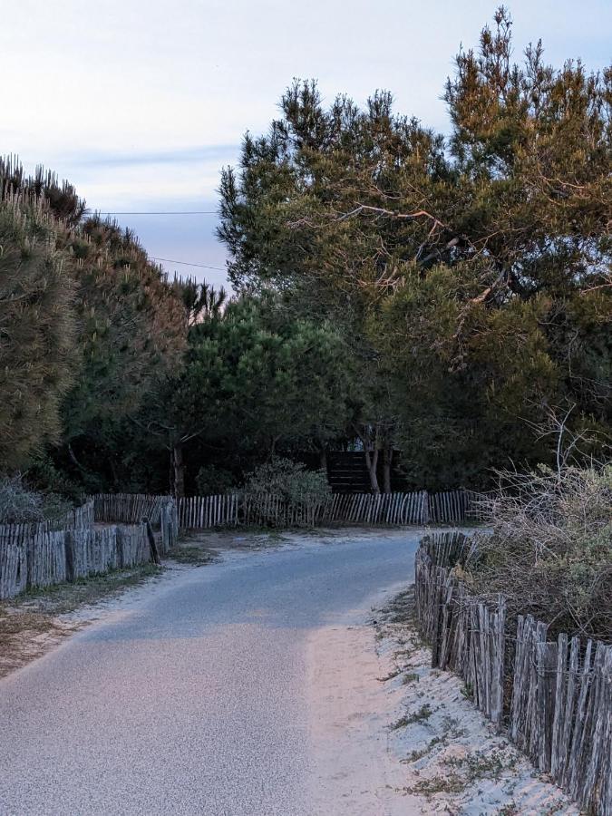 L'Instant Plage - Vue Mer - Bord De Plage - La Capte - Cote D'Azur Hyères Eksteriør bilde