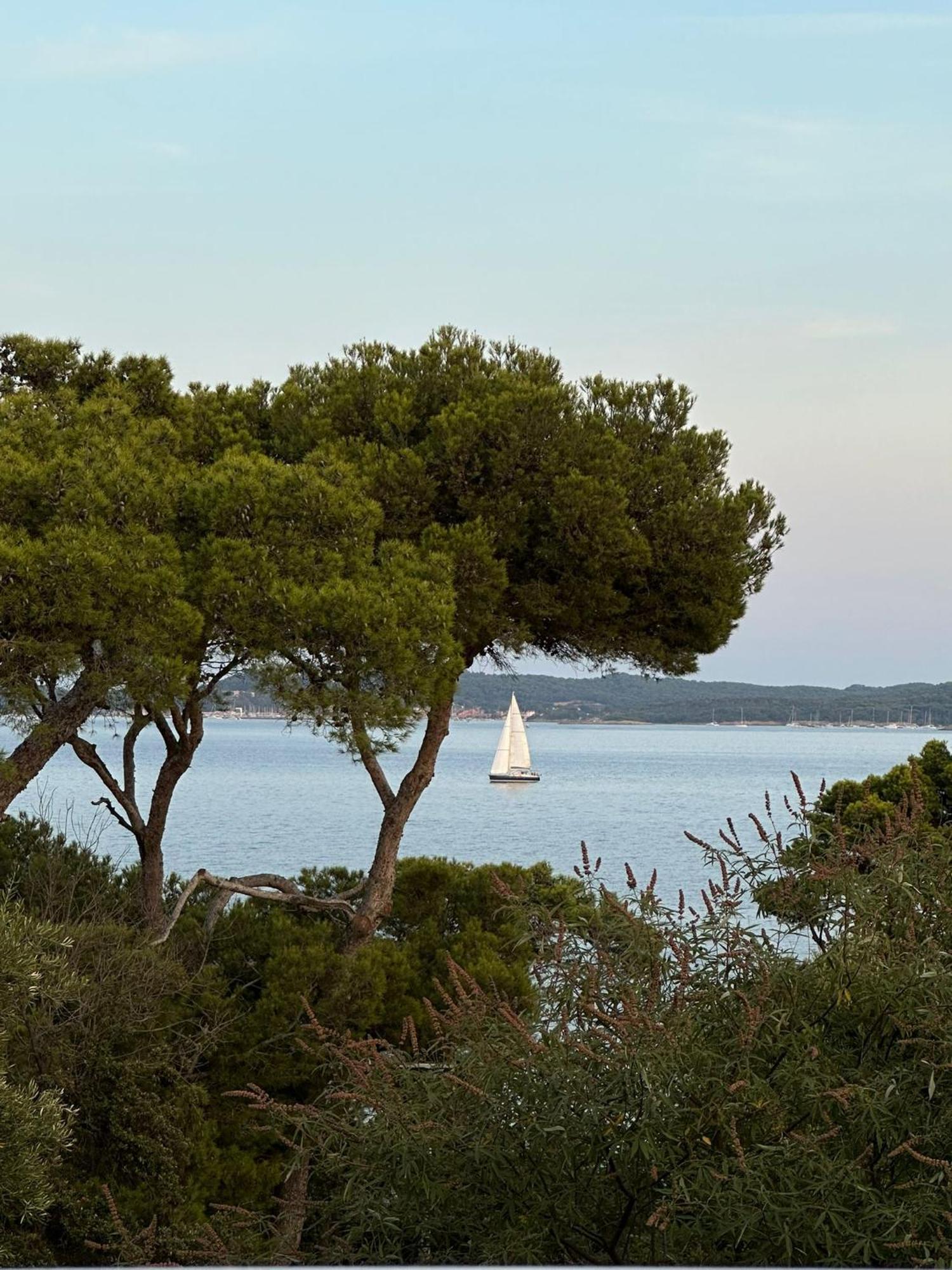 L'Instant Plage - Vue Mer - Bord De Plage - La Capte - Cote D'Azur Hyères Eksteriør bilde