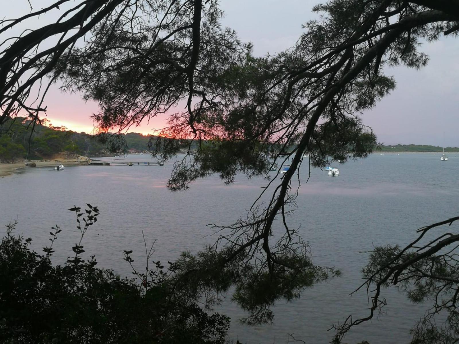 L'Instant Plage - Vue Mer - Bord De Plage - La Capte - Cote D'Azur Hyères Eksteriør bilde